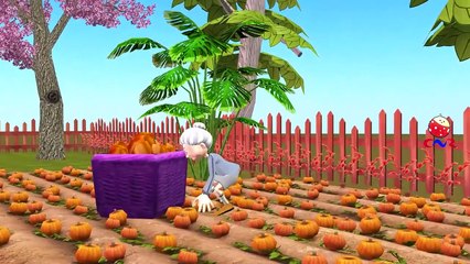 Baa Baa Black Sheep and Many More Kids Songs | Popular Nursery Rhymes Collection by ChuChu