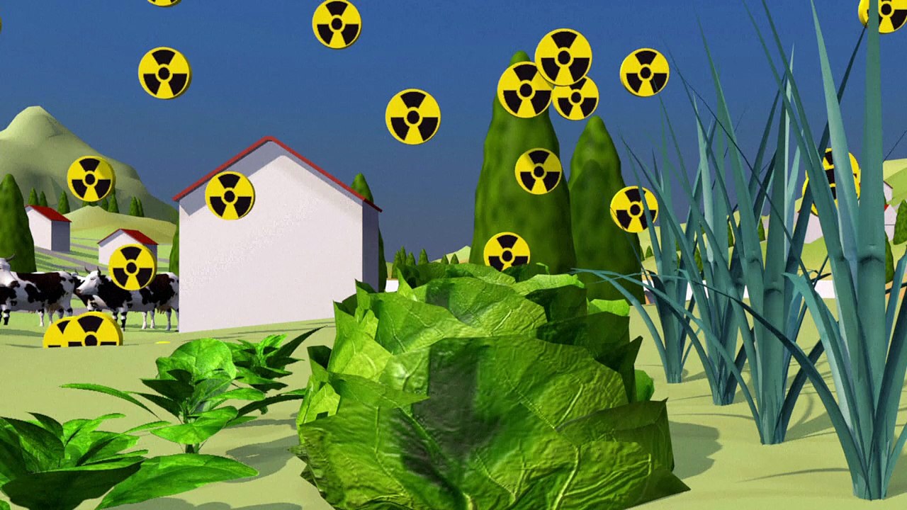 La contamination radioactive