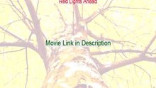 Download Red Lights Ahead Watch Online Free 1936