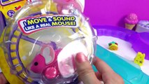 Shopkins Season 3 Taco Terrie Chee Zee Ride Little Live Pets Lil Mouse Track Fun Toy Revi