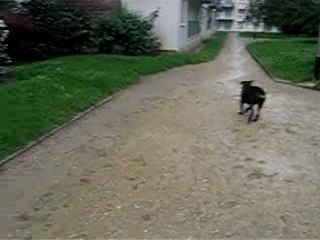 petit moment de jeu après la pluie