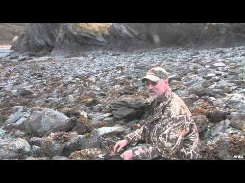 MOJOs Coming to the Call - The Kodiak Challenge Part 1