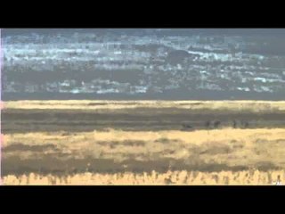 Extreme Desire TV - Antelope Hunt with Stan Russell and Steve Dodds