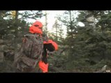 Steves Outdoor Adventures - Southwest Trophy Bull Elk