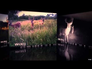 Canada in the Rough  - Giant Whitetails On The Prairie