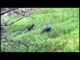 Nock On - The Blind Side