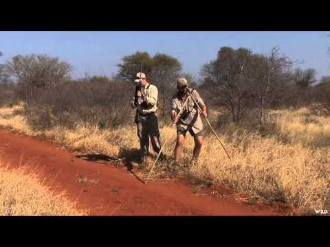Northwest Hunter - Buffelspan Safari Part 1