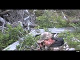 The Hunting Chronicles - Coastal Bear Hunt