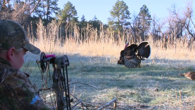 Annetta Morris Bowhunts Nebraska Gobblers