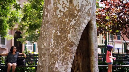 Sesame Street: Catch Us Every Morning & Afternoon!