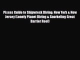 [PDF Download] Pisces Guide to Shipwreck Diving: New York & New Jersey (Lonely Planet Diving