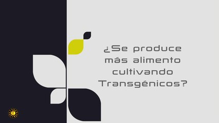 ¿Se produce más alimento cultivando transgénicos?