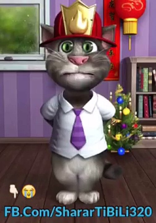 funny cat talk