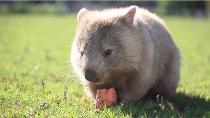 Your daily dose of cuteness