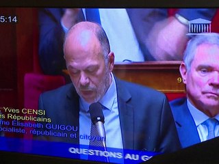 Révision constitutionnelle votée avec une nette majorité à l'Assemblée