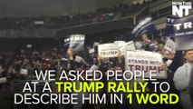 People At Trump Rally Describe Him In One Word