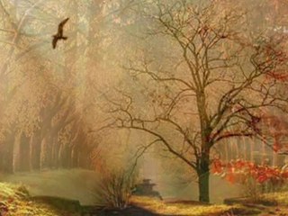 Beni benden alıp götürdü muhteşem...