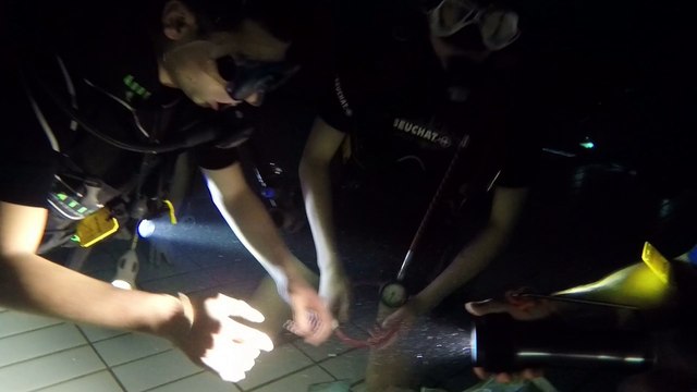 Plongée de nuit à la piscine pour les ados