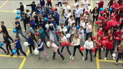 FLASHMOB UNSS FENELON EURO 2016