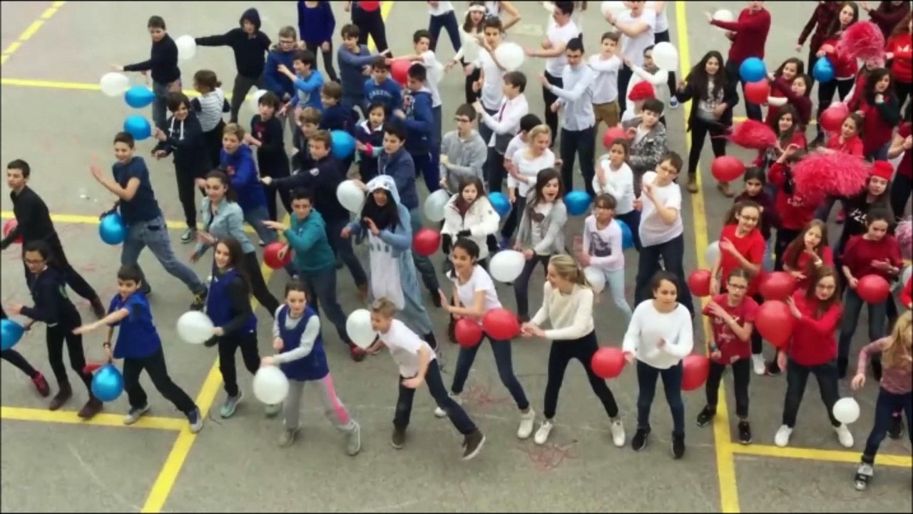 FLASHMOB UNSS FENELON EURO 2016