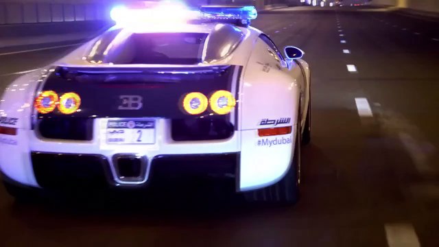 Best COUB. Подборка недели #46.1