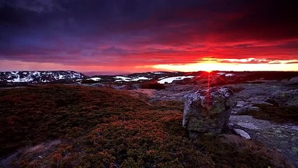 Cat Trumpet Long Lost Light (Relaxation Meditation Music) (World Music 720p)