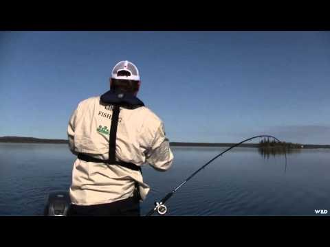 Maximum Limit Fishing - Early Trout