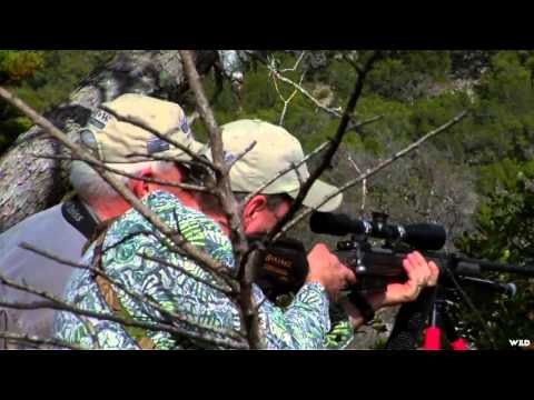 A Hunters Life - New Zealand Red Stag Accident Show