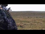 Steves Outdoor Adventures - Nunavut Trophy Caribou Hunt