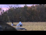 The Canadian Guide Life - Saskatchewan Waterfowl