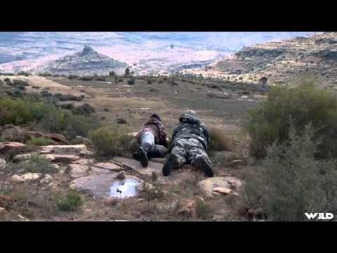 Outdoor Quest TV - Wildebeest in South Africa and Salmon in BC