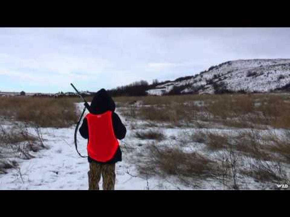 M2D Camos Livin the Dream - Washington Pheasant Hunt