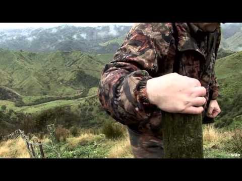 Northwest Hunter - Rata Maire Red Stag and Fallow Deer