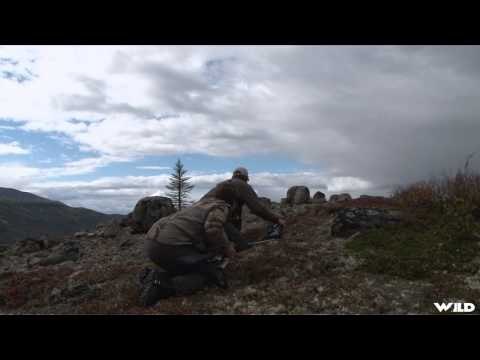 Outdoor Quest TV - Yukon Grizzly Bear
