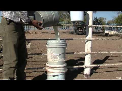 Where in the World is Colorado Buck - Mexico Desert Mule Deer