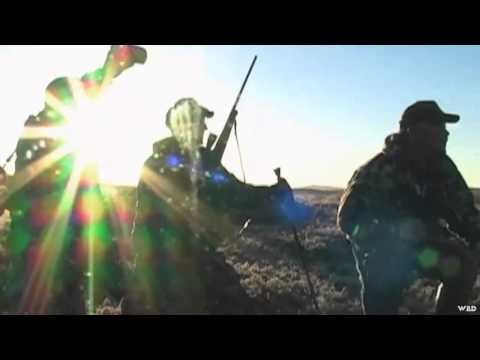 North American Safari - The Coventry Moose