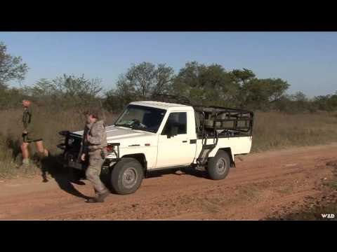Northwest Hunter - In Africa Safaris 2