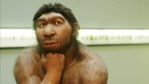 Got allergies- You can blame the Neanderthals