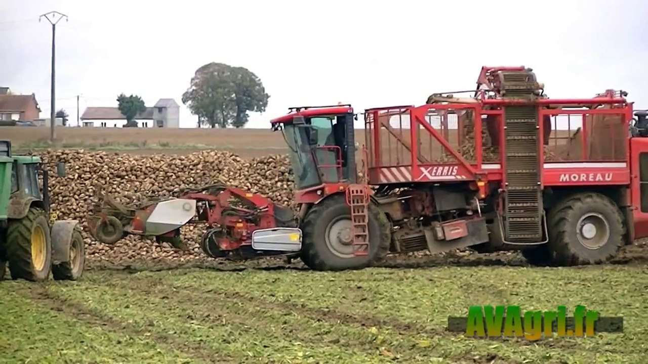MOREAU Xerris à la récolte des betteraves en 2012