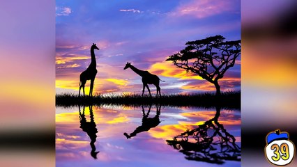 50 Dumbest Laws From American States