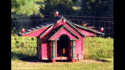 Будка для любимой собаки