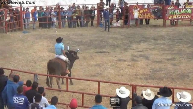 JARIPEO EN SAN BARTOLO PAREO MICHOACAN MEXICO TOROS DE RANCHO BARRIGA VALIENTES JINETES MONTAS EXELENTES FEBRERO 2016