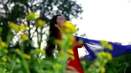 Sari Bhool Humari Thi Full OST (FULL VIDEO) -Hum Tv DRama Songs# (Dailymotion)