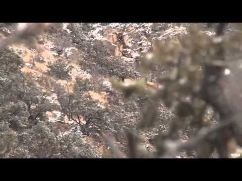 Jimmy Big Time - Big Time Coup