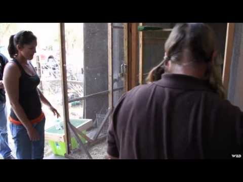 North American Safari - HogaPaluza Part 2