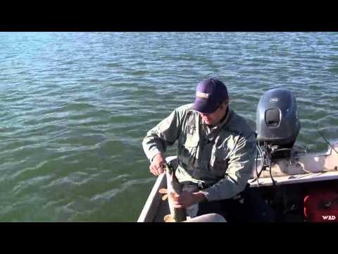 Maximum Limit Fishing - Fine Dinning