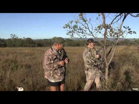 Northwest Hunter - In Africa Safaris 1