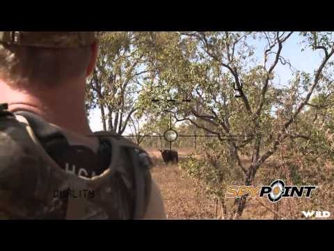 Hunting Canada and Beyond - Australia Water Buffalo Show 1