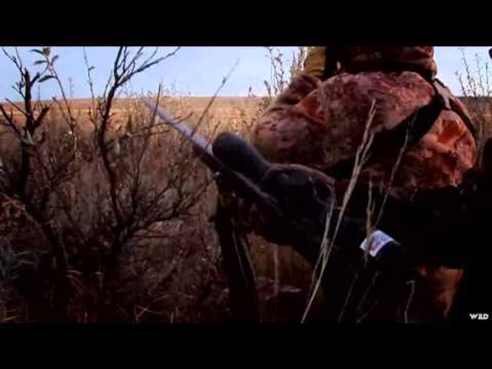 The Canadian Tradition - Paying It Forward