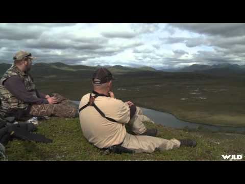 Steves Outdoor Adventures - Alaskan Brown Bear Hunt